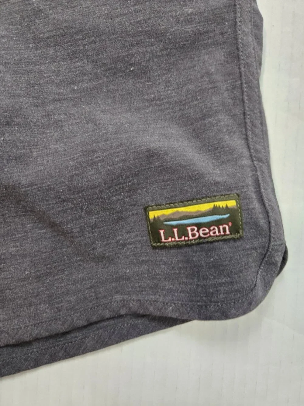 L.L. Bean Men's All-Adventure Gray Swim Shorts Lined Size S UPF 50+ Trunks